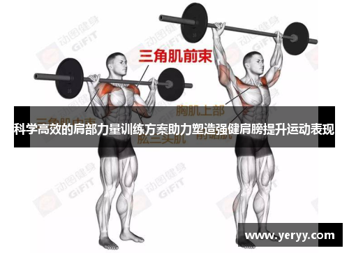 科学高效的肩部力量训练方案助力塑造强健肩膀提升运动表现
