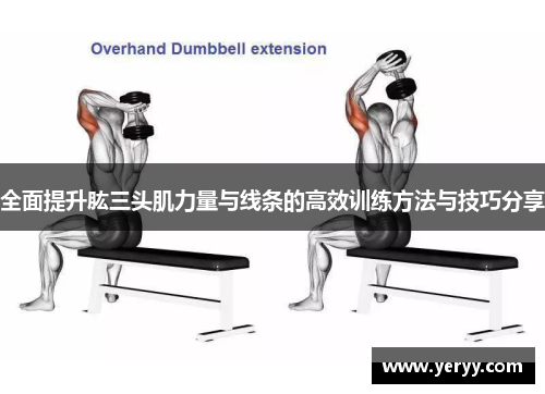 全面提升肱三头肌力量与线条的高效训练方法与技巧分享