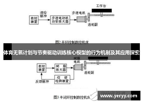 体育无氧计划与节奏驱动训练核心模型的行为机制及其应用探索